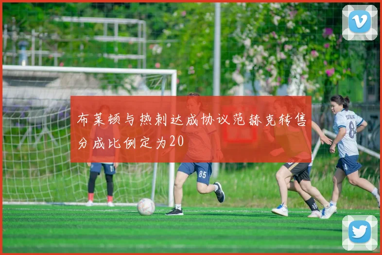 布莱顿与热刺达成协议范赫克转售分成比例定为20