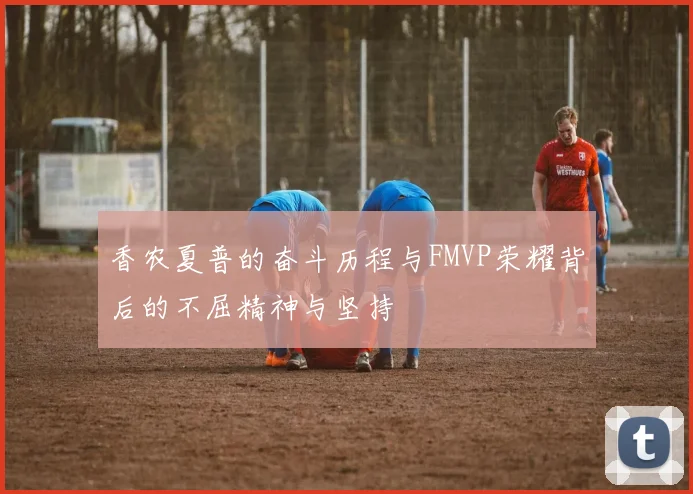 香农夏普的奋斗历程与FMVP荣耀背后的不屈精神与坚持