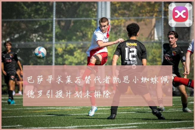 巴萨寻求莱万替代者凯恩小蜘蛛佩德罗引援计划未排除